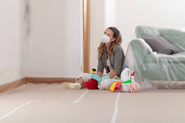 Reliable Mold Remediation contractor in Fort Monmouth, NJ by Cheap Mold Removal